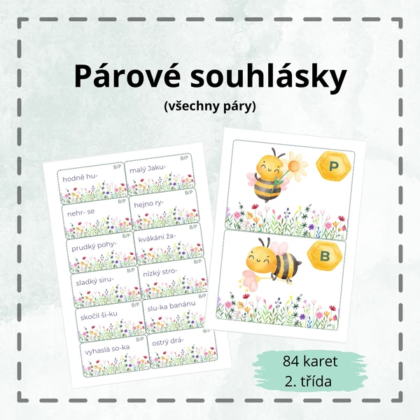 Párové souhlásky