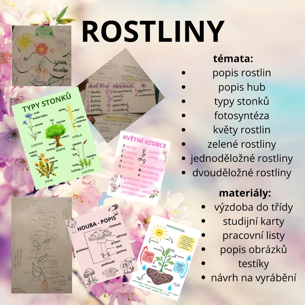 ROSTLINY