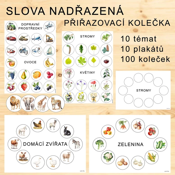 Slova nadřazená a podřazená