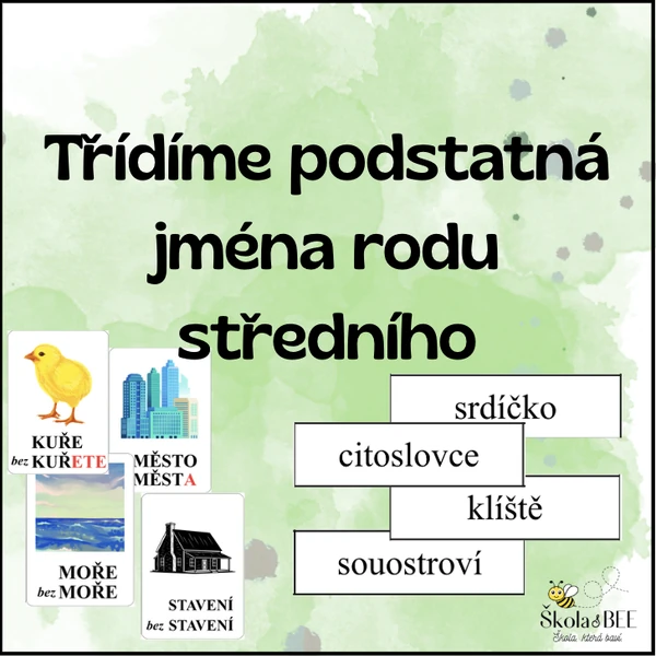 Třídíme podstatná jména rodu středního