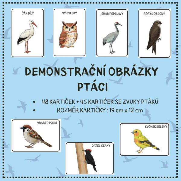 PTÁCI - demonstrační obrázky