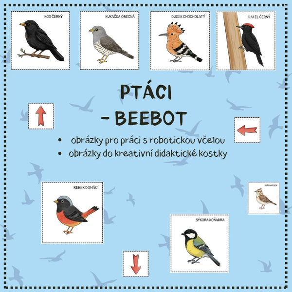 PTÁCI - didaktická včelka beebot