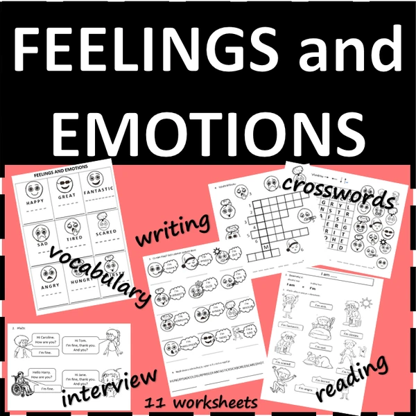FEELINGS and EMOTIONS