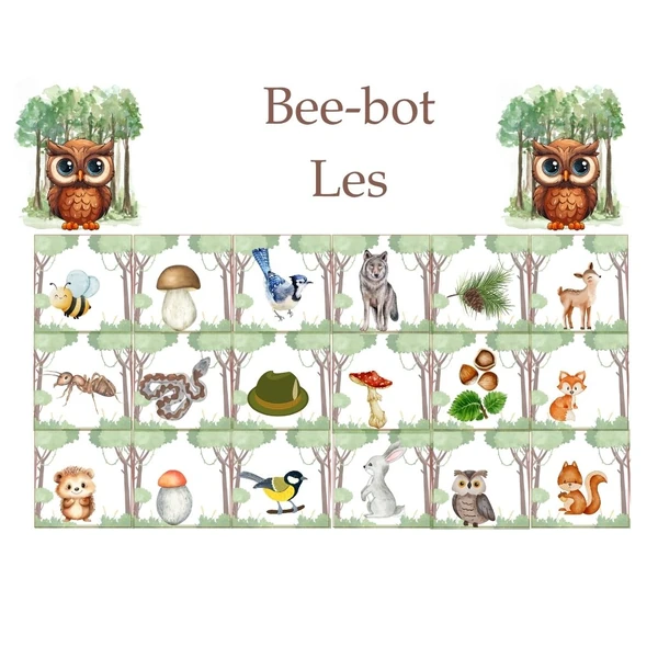 Bee bot - les