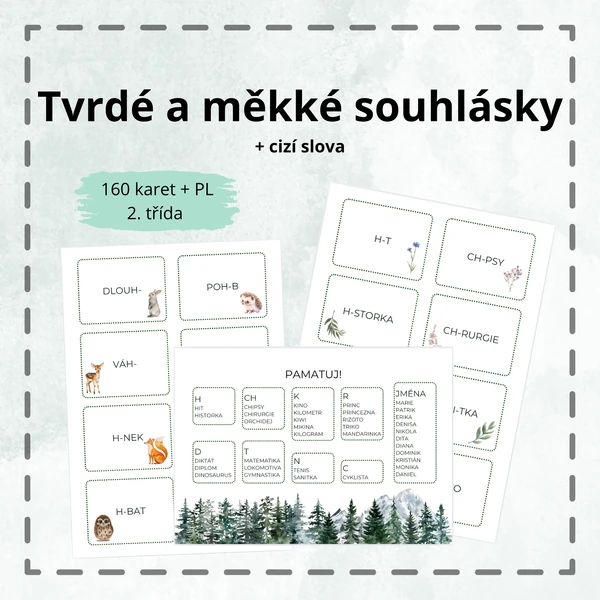 Tvrdé a měkké souhlásky + cizí slova