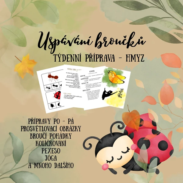 Týdenní příprava - HMYZ