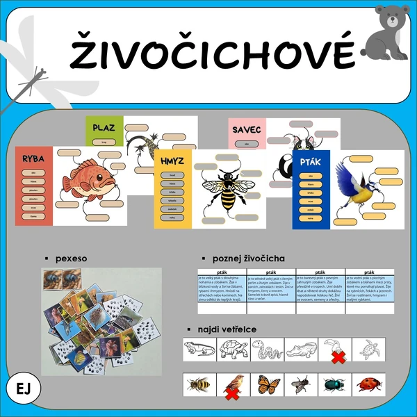 Živočichové