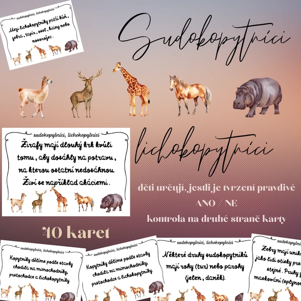 Sudokopytníci, lichokopytníci (40 oboustranných karet ANO/NE)