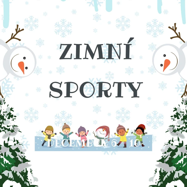Zimní sporty 