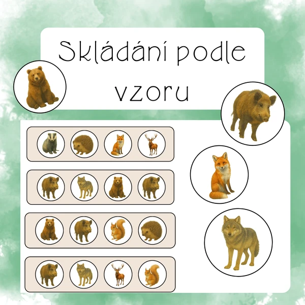 Skládání obrázků podle vzoru - Les