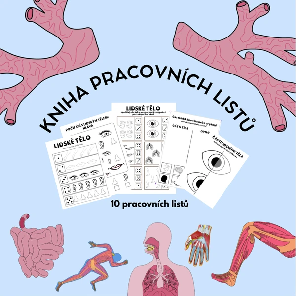 Lidské tělo 2: kniha aktivit