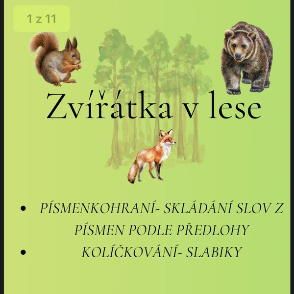 Zvířátka v lese 🌲🦔🦨🦝🐿️🌲