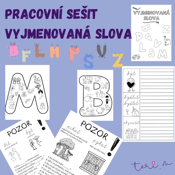 VYJMENOVANÁ SLOVA - PRACOVNÍ SEŠIT