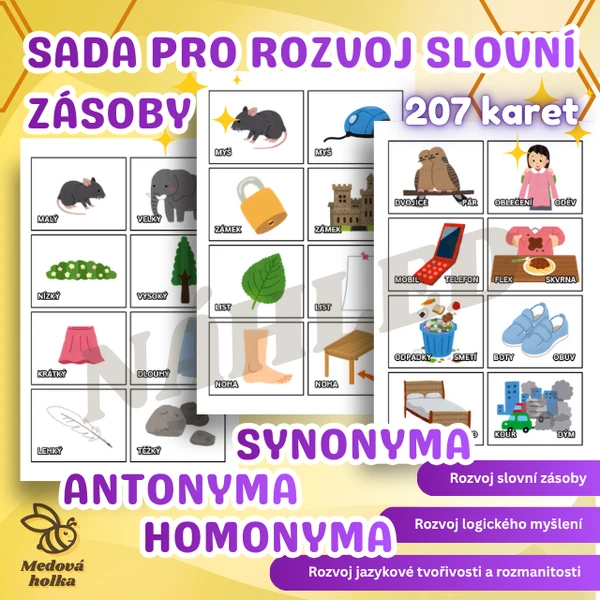 Sada pro rozvoj slovní zásoby - synonyma, antonyma, homonyma