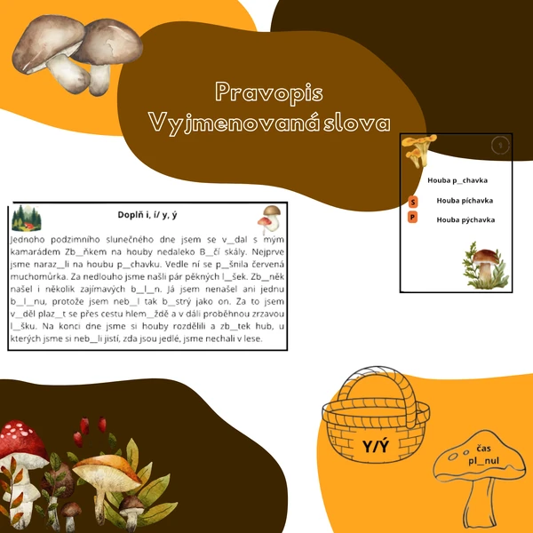 Pravopis - vyjmenovaná slova