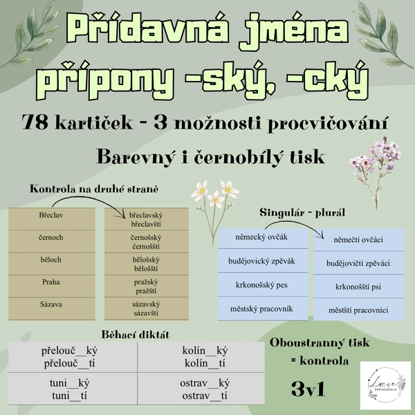 Přídavná jména - přípony (-ský/-ští, -cký/-čtí)