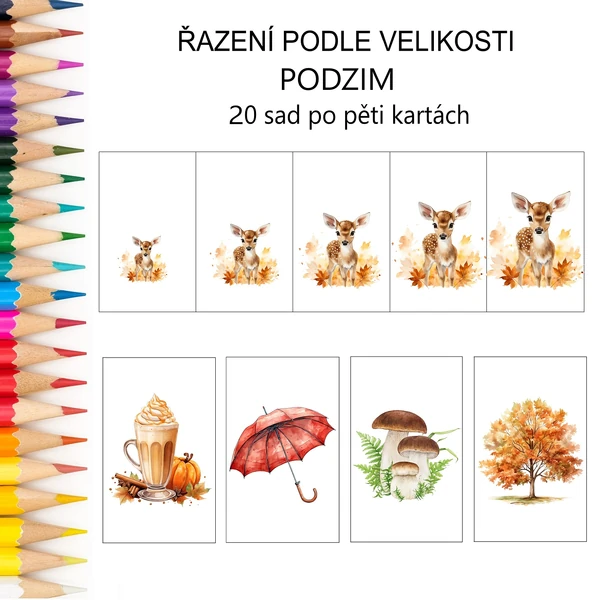 Řazení podle velikosti PODZIM