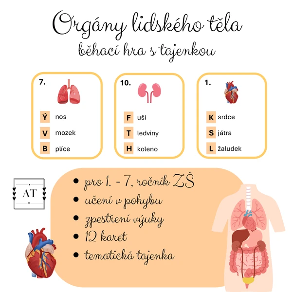 Orgány lidského těla - běhací hra s tajenkou