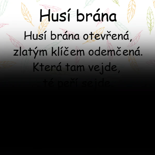 Husí brána 
