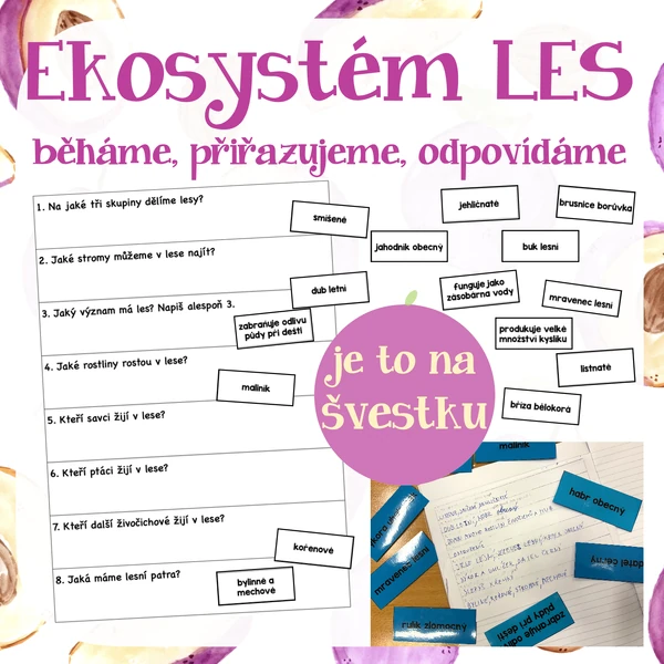 Ekosystém les - běháme, přiřazujeme, odpovídáme