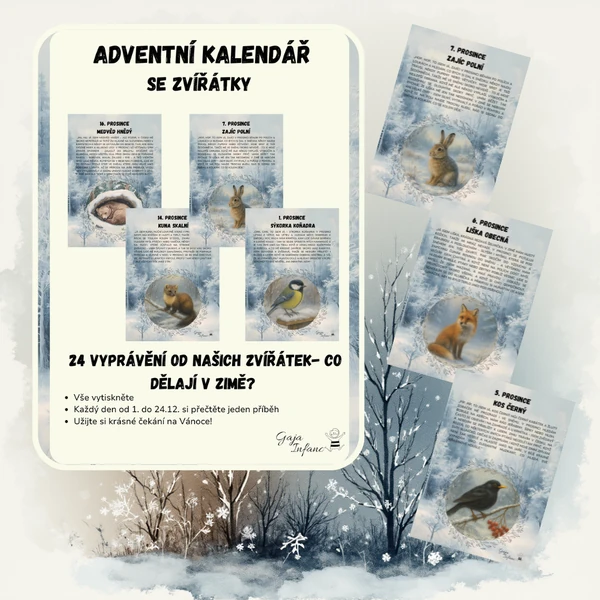 🎄 Adventní kalendář s našimi zvířátky 🎄