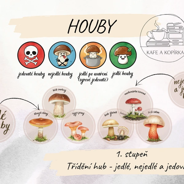 Houby - jedlé, nejedlé a jedovaté