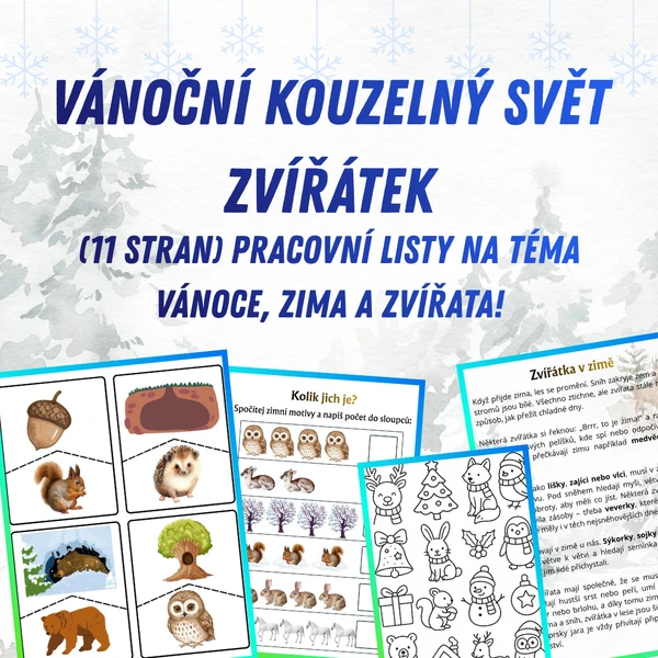 Vánoční kouzelný svět zvířátek
