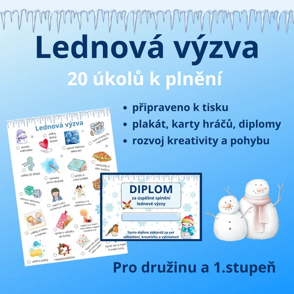Lednová výzva