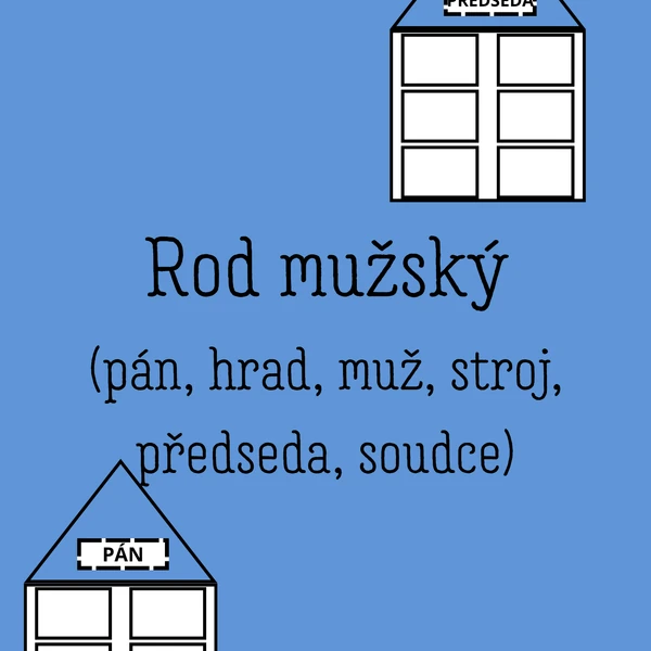Vzory rodu mužského