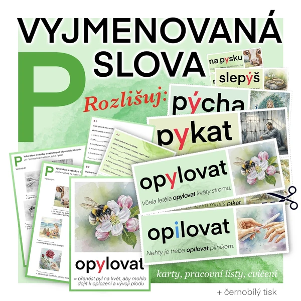 Vyjmenovaná slova po P - rozlišování 