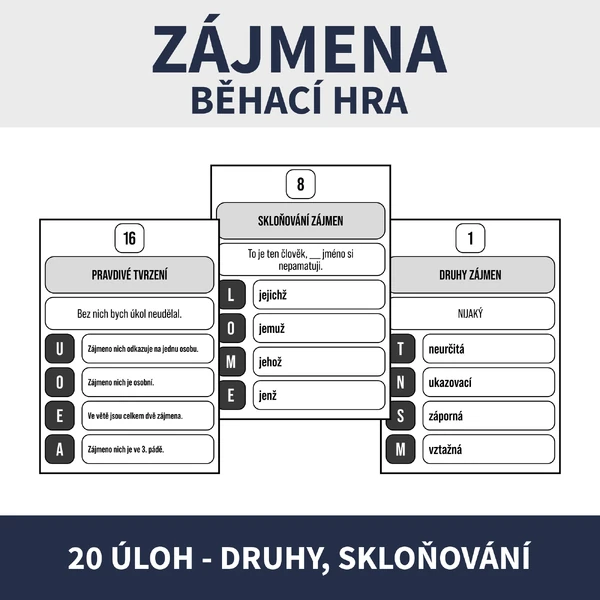 ZÁJMENA - BĚHACÍ HRA (druhy, skloňování)