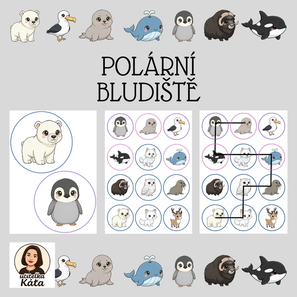 POLÁRNÍ BLUDIŠTĚ