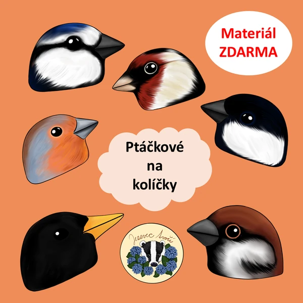 Ptáčkové na kolíčky