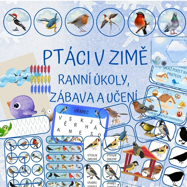 PTÁCI V ZIMĚ - ranní úkoly, zábava a učení