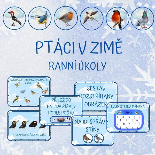 PTÁCI V ZIMĚ - ranní úkoly