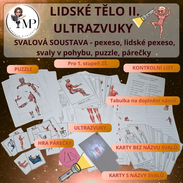LIDSKÉ TĚLO II. - svalová soustava