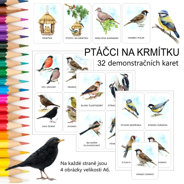 PTÁČCI NA KRMÍTKU - 32 demonstračních karet