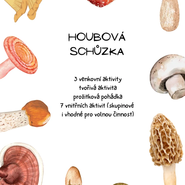 Houbová schůzka 
