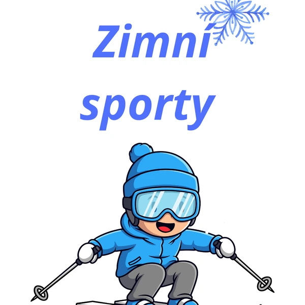 Zimní sporty