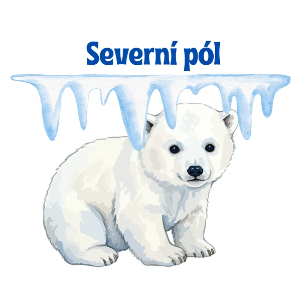 Severní pól