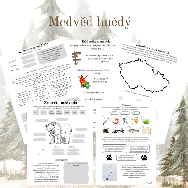 Ze světa medvědů