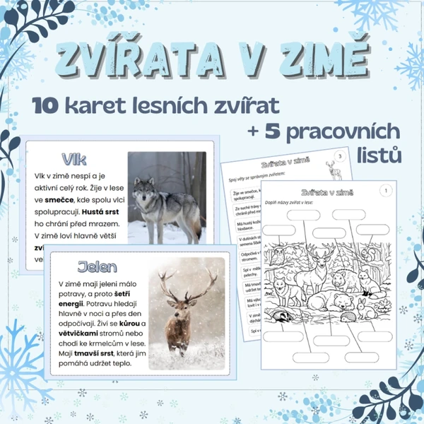 Zvířata v zimě