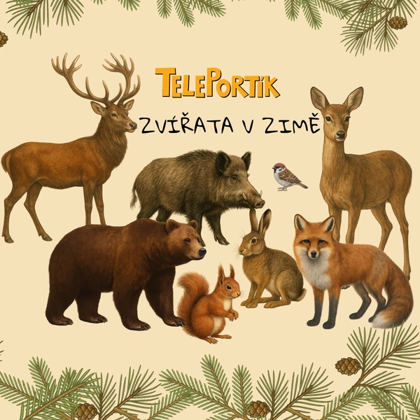 Zvířata v zimě - soubor úkolů
