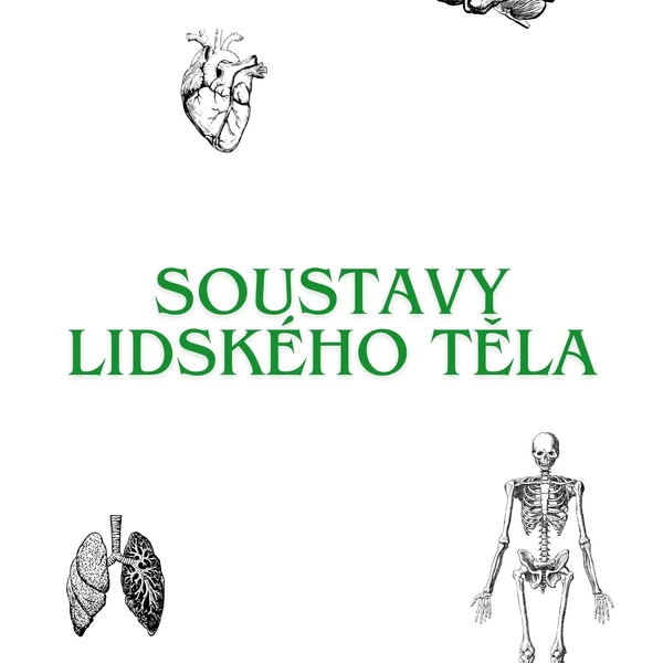 SOUSTAVY LIDSKÉHO TĚLA - přírodopis, biologie