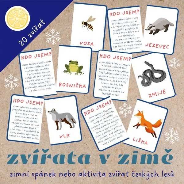 KDO JSEM? ZVÍŘATA V ZIMĚ - KARTIČKY K PŘIŘAZOVÁNÍ