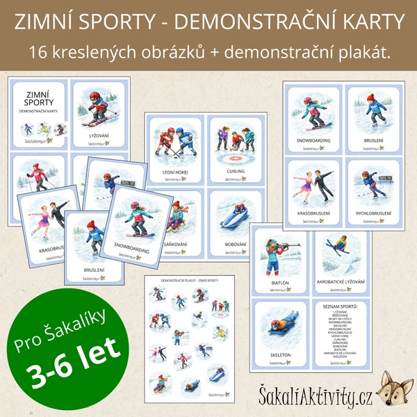  Zimní sporty - kreslené - demonstrační karty 