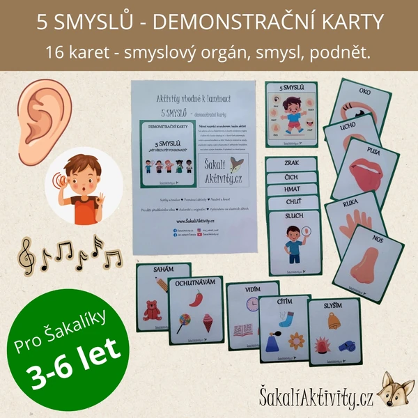5 SMYSLŮ - demonstrační karty