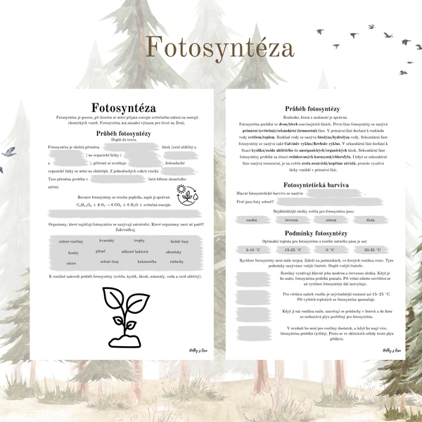 Fotosyntéza