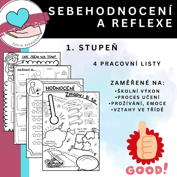 Sebehodnocení a reflexe 