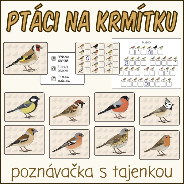 Ptáci na krmítku - Poznávačka s tajenkou